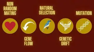The 5 Mechanisms of Evolution