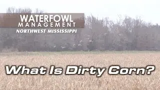 What is Dirty Corn?
