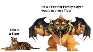 Types of players in FF planet servers!