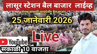लासूर स्टेशन बैल बाजार लाईव्ह 🔴 Lasur station Bail Bazar  Live #live 25 जानेवारी 2026