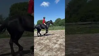 Bareback lesson!! #horse #equestrianjourney #equestrian