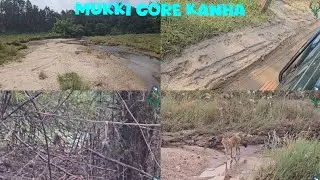 Mukki Core Gate Kanha 🐅🐾
