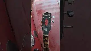 Rusty finds some cool guitars at the thrift store 😀😀  #blues  #vintageguitars  #vintageguitar