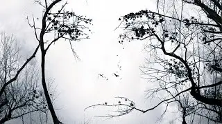 Premonition (2007) - Trailer