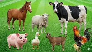 Collection of cute animal sounds: Cow, Cat, Chicken, Dog, Sheep, Cat, Horse - Cute Animal Moments#11