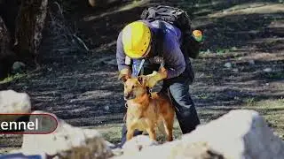 Sdrf Batallion Short Documentry Dehradun Uttarakhand