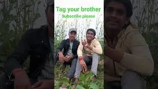 ई....song हमार भाई खातिर #trendingshorts #nonstop #song