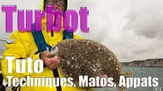PÊCHER le TURBOT : Quelles Techniques, Leurres et Appâts utiliser
