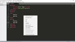 Pre Tag Example in HTML