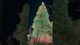 Christmas at Chicago! #christmas #chicago #illinois #travel #explore #adventure #city #citylife #usa