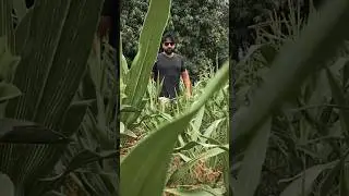 #killin #sidhumoosewala #shorts #shortsfeed #shortvideo #short #trending #viralvideo  #atifbhatti
