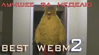 #2 | Лучшие WebM за неделю 25.03.18