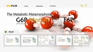 The Metabolic Metamorphosis: G6P Morphs into F6P | Glycolysis | Step 2