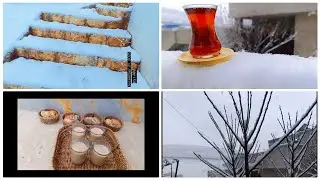 #بين دفء الروتين وبرد الثلج❄️🌨️☕يوم شتوي