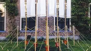 1993 Venus Lighting, Dwingeloo
