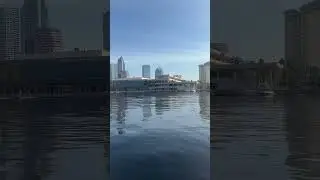 Awesome views of downtown Tampa from the water. #tampa #cruise #travel #visittampa #travelblog