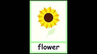 'f' Letter Words                              #english #vocabulary