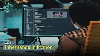 What is Inheritance in Python || What are the Types of Inheritance in Python