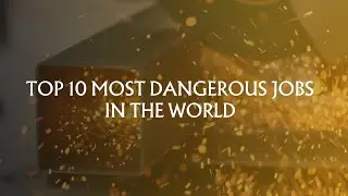 Top 10 Most Dangerous Jobs in the World | High-Risk Professions Exposed