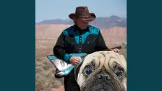 I Like My Dog (A Little Too Much)
