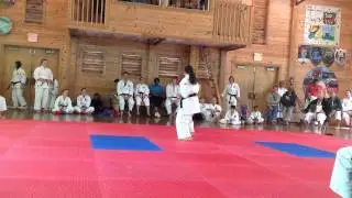Bassai Dai, Girls 14-17 Individual Kata | 2014 IKD World Camp tournament