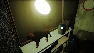 Digi code -Stray-Chapter 3- The Flat walkthrough