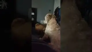 Ah Bedtime 