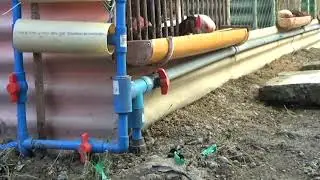 Designing and Lay outing of Native Chicken Breeder Farm