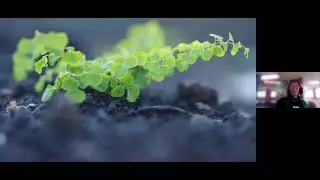 Through the Crucible | Hilary Stripp | Sharing Stories of Nature Recovery
