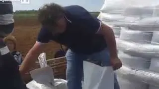 Piantare canapa per bonificare terreni
