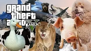 Peyote Plant Locations Guide - All 27 With Map GTAV Xbox One PS4 Walkthrough