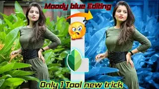 Snapseed moody blue editing || Only 1 main tool new trick 😳 ||Suki Creations