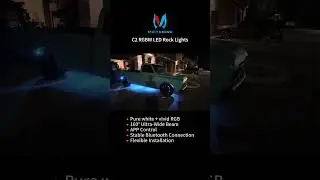 🔥MICTUNING C2 RGBW Rock Lights Night Effect 12 Pods | Ultra Bright RGBW Underglow
