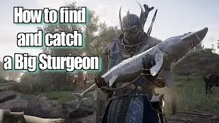 Assassin's Creed Valhalla Wrath of the Druids how to find and catch a Big Sturgeon Fish