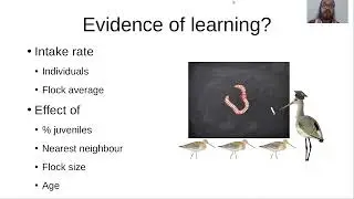 Does who you know explain what you know?
