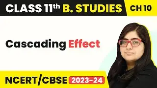 Cascading Effect - Internal Trade | Class 11 Business Studies Chapter 10