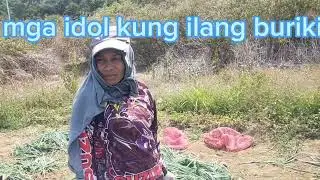 onion 🧅 harvesting(super Pinoy) magandang ani at presyo ng sibuyas natupad din.. 😊😊sulit ang pagod..