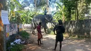 Kandiyoor Premsangar , Mavelikara 