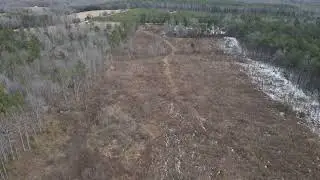 Parcels in Nottoway County (Flat Rock Road)