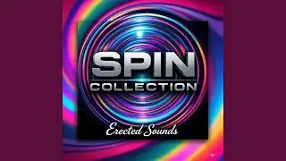 Spin Top