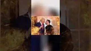 трамп и зеленский #usa #twitch