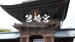 筥崎宮（福岡県 福岡市）4K映像:Hakozakigu Shrine in 4K with Fujifilm X-T3 (Fukuoka-shi , Fukuoka , Japan)