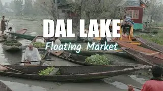 Floating Vegetable Market of Kashmir 😍 | Dal Lake | Srinagar | Rohit Upadhyay
