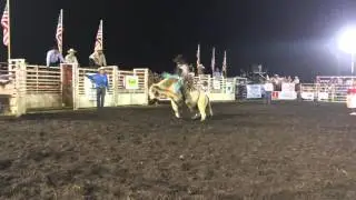 Ty Parkinson- Bloomingdale Georgia