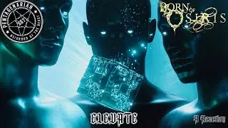 A Surprising Blind Reaction to Born of Osiris - 