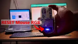 How to Fix RGB Light Not Working in @arcticfox3527  Mouse | Understand colour code of DPI