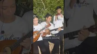 QUITAPESARES - con la mandolina sonora de Camila Tornel 🎶
