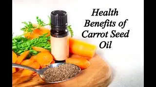 Health Benefits of Carrot Seed Oil are amazing, including being a powerful antibacterial agent.