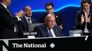 COP27 delegates agree on climate damage fund for poor nations