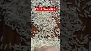 PR-14 Steam Rice - PR-11 Sella - Golden Sella Rice Available - #pr14 #pr11 #indianrice #basmatirice